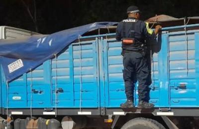 Contrabando de soja: en 45 días, detuvieron 60 camiones con 30 toneladas cada uno