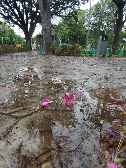 lluvia3.jpg