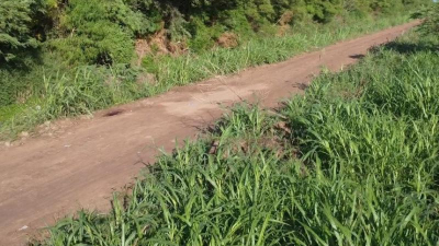 Crimen del productor: encuentran $25 millones en la casa