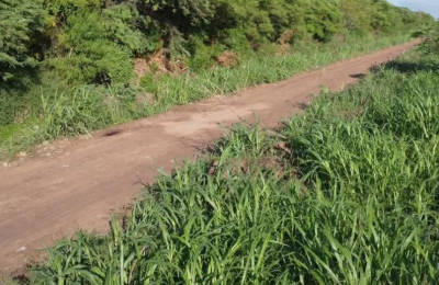 Crimen del productor: encuentran $25 millones en la casa