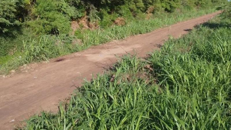 Crimen del productor: encuentran $25 millones en la casa