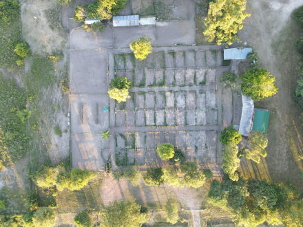 rural4.jpg
