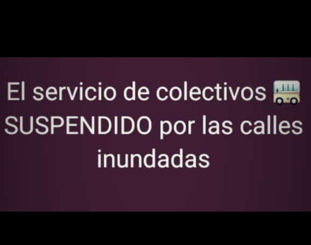 WhatsApp Image 2024-02-29 at 11.42.26.jpeg
