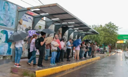 colectivos2.jpg