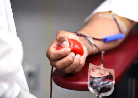 DONACIÓN-DE-SANGRE-1024x731.jpg