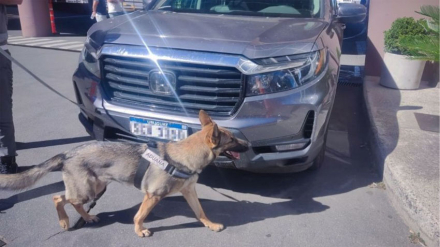 camioneta.jpg