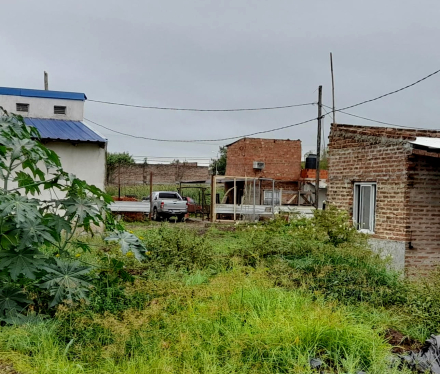 camio5.jpg