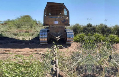 Greenpeace denunció la deforestación de más de 57.000 hectáreas en el Chaco