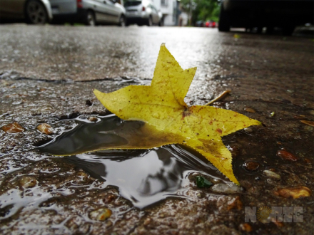 otoño.jpg
