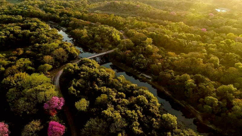 Curso de guías de Naturaleza en la Reserva Los Chaguares