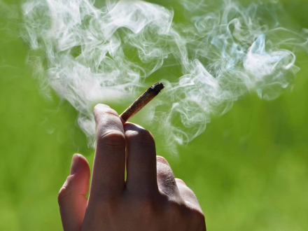 MARIHUANA.jpg