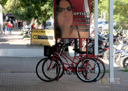 sin cole2.jpg