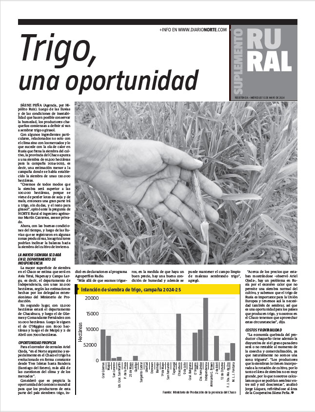 Trigo, una oportunidad