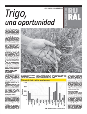 Trigo, una oportunidad