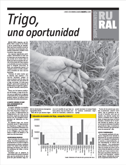 Trigo, una oportunidad