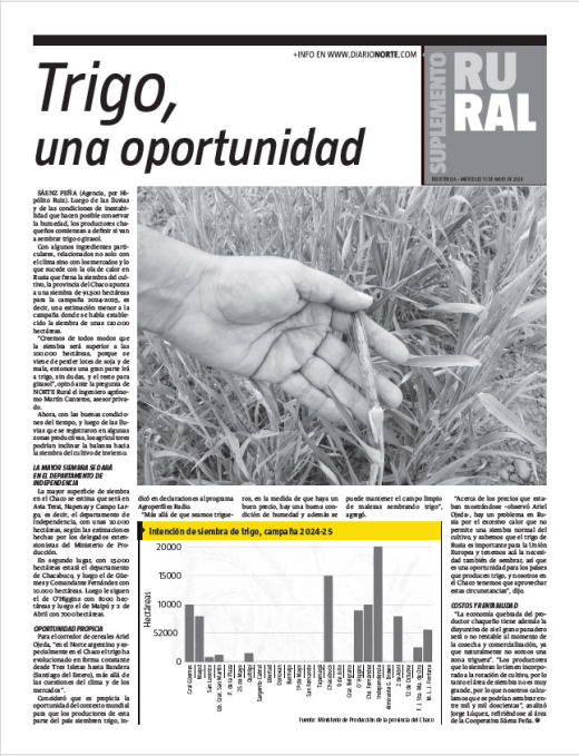 Trigo, una oportunidad