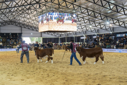 15-150-viven-las-nacionales-1.jpg