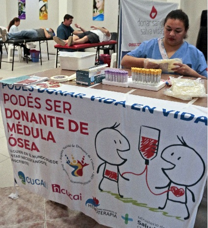 campaña.jpg