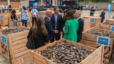 Los chaqueños tienen en sus hogares un total de 35.516 armas registradas