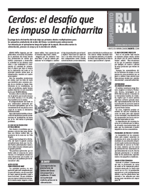 Cerdos: el desafío que les impuso la chicharrita