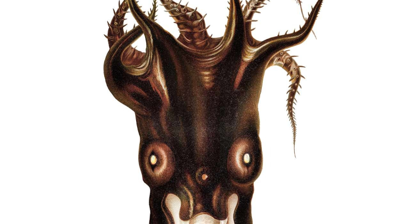 Científicos descubrieron nuevo "calamar vampiro" 
