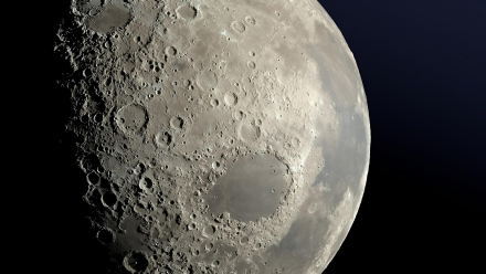 luna_lunita_lunera.jpeg