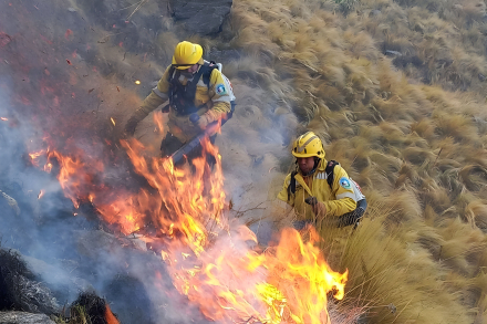 champaqui incendio forestal.jpg