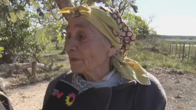 Causa Loan: La abuela Catalina apuntó contra Caillava y repetirán la cámara Gesell con los menores