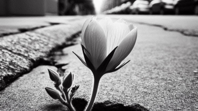 Una flor en la vereda