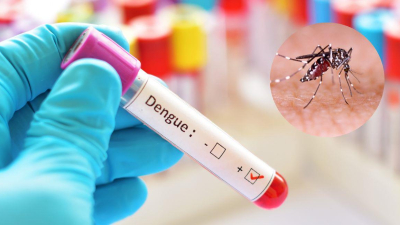 Cómo saber si una persona ya tuvo dengue y cuál es la importancia de cara al próximo verano