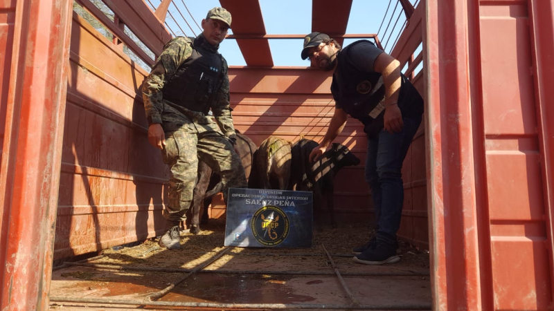 Desbaratan banda narco: aceptaban hasta ganado mayor por la venta de estupefacientes