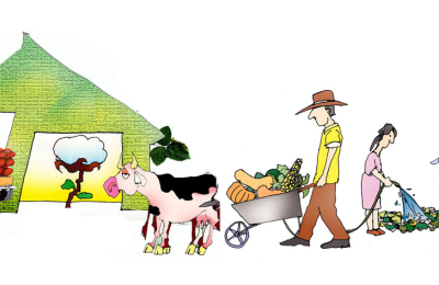 Por qué el Chaco debe valorar la agricultura y la producción sustentable