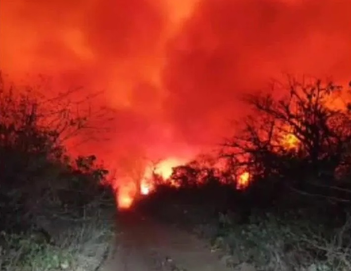 fuego.jpg