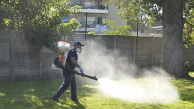 Dengue: preocupación por resistencia de mosquitos a insecticidas