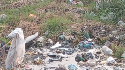 Encontraron sin vida a un hombre en el basural