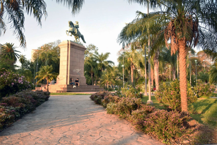 arboles3.jpg