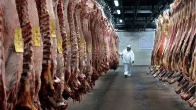 Argentina expande exportaciones cárnicas a China con cuatro nuevas plantas