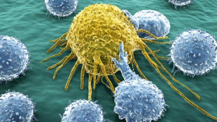mapa resist cáncer5.jpg