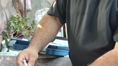 Colectan aportes solidarios para salvar a Bella, una perrita con un grave cuadro de salud