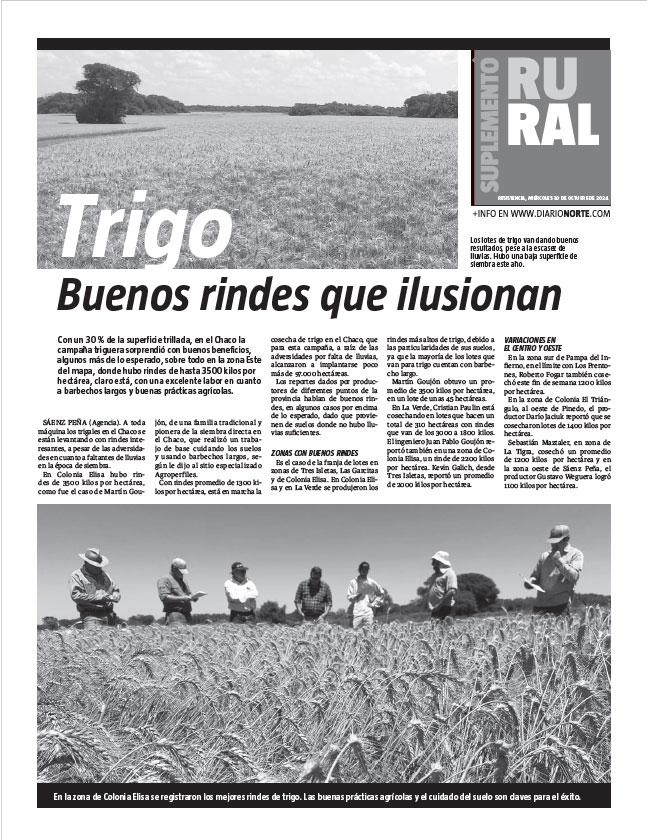 Trigo: buenos rindes que ilusionan