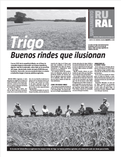Trigo: buenos rindes que ilusionan