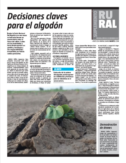 Decisiones claves para el algodón