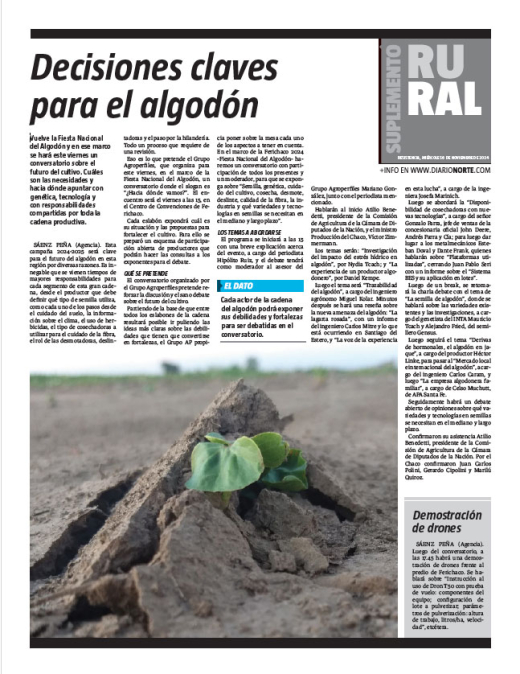 Decisiones claves para el algodón