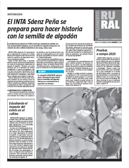 El INTA Sáenz Peña se prepara para hacer historia con la semilla de algodón