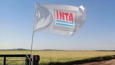 INTA.jpeg