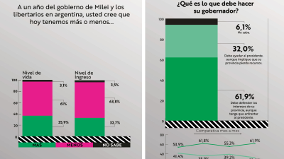 Aniversario de Milei: ¿estabilidad o incertidumbre?