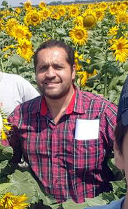Martin-Canteros-girasol.jpg