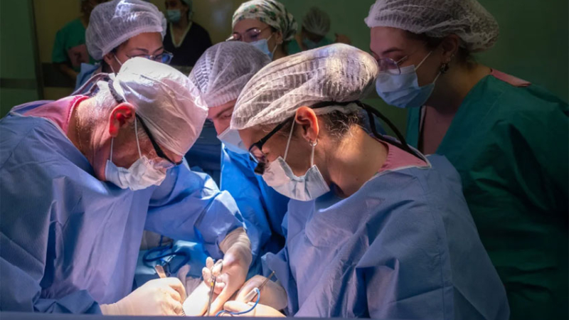 Realizaron un trasplante de hígado a un niño de 2 años de un donante pediátrico
