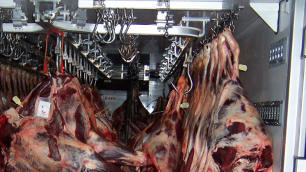 camion-carne.jpg