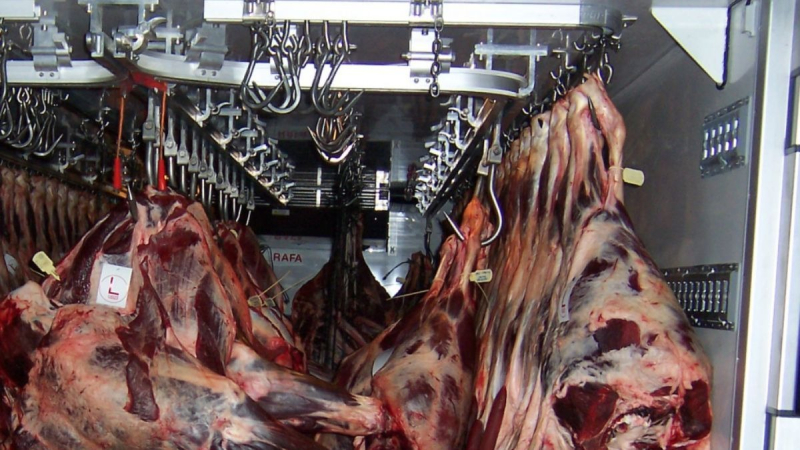 Matarifes denuncian aumento de robos de camiones de carne
